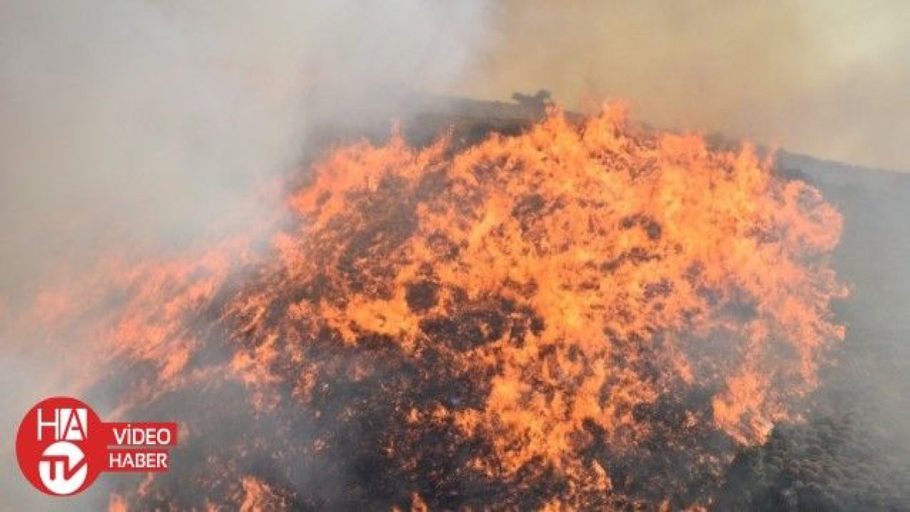 Bu yıl orman yangınlarında 5 bin 469 hektar alan zarar gördü