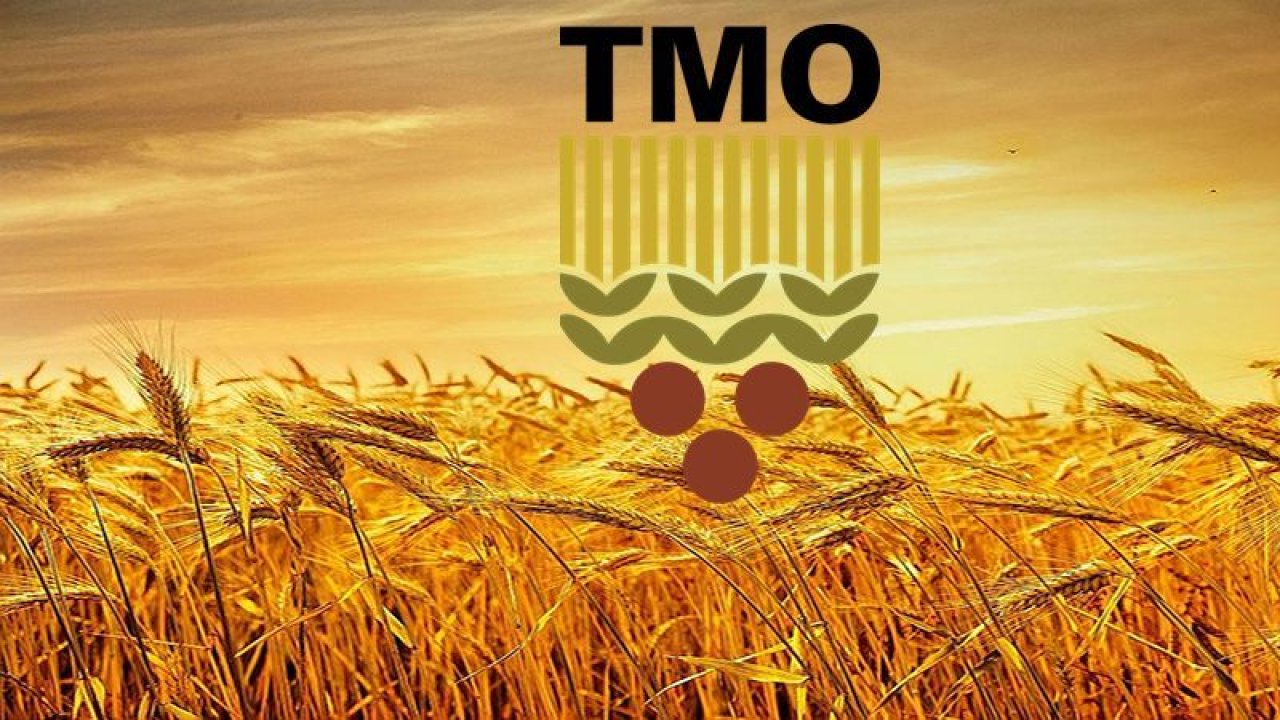TMO Market 143 TL'ye Satmaya Başladı! Migros, A101, BİM, ŞOK ve Migros'a Resti Çekti! En ucuz Ayçiçek Yağı, Pirinç ve Mercimek İndirimli Satışlar Başladı!