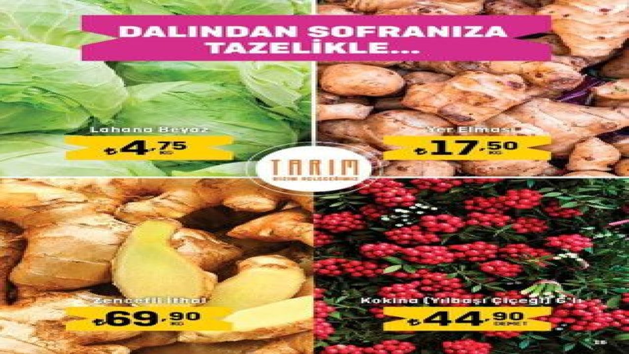 Migros Market’te İzdiham Var! Ayçiçek Yağı 21 TL, Çay 27 TL, Tavuk 25 TL, Peynir 25 TL… Fiyatları Gören Şaka Sanıyor!