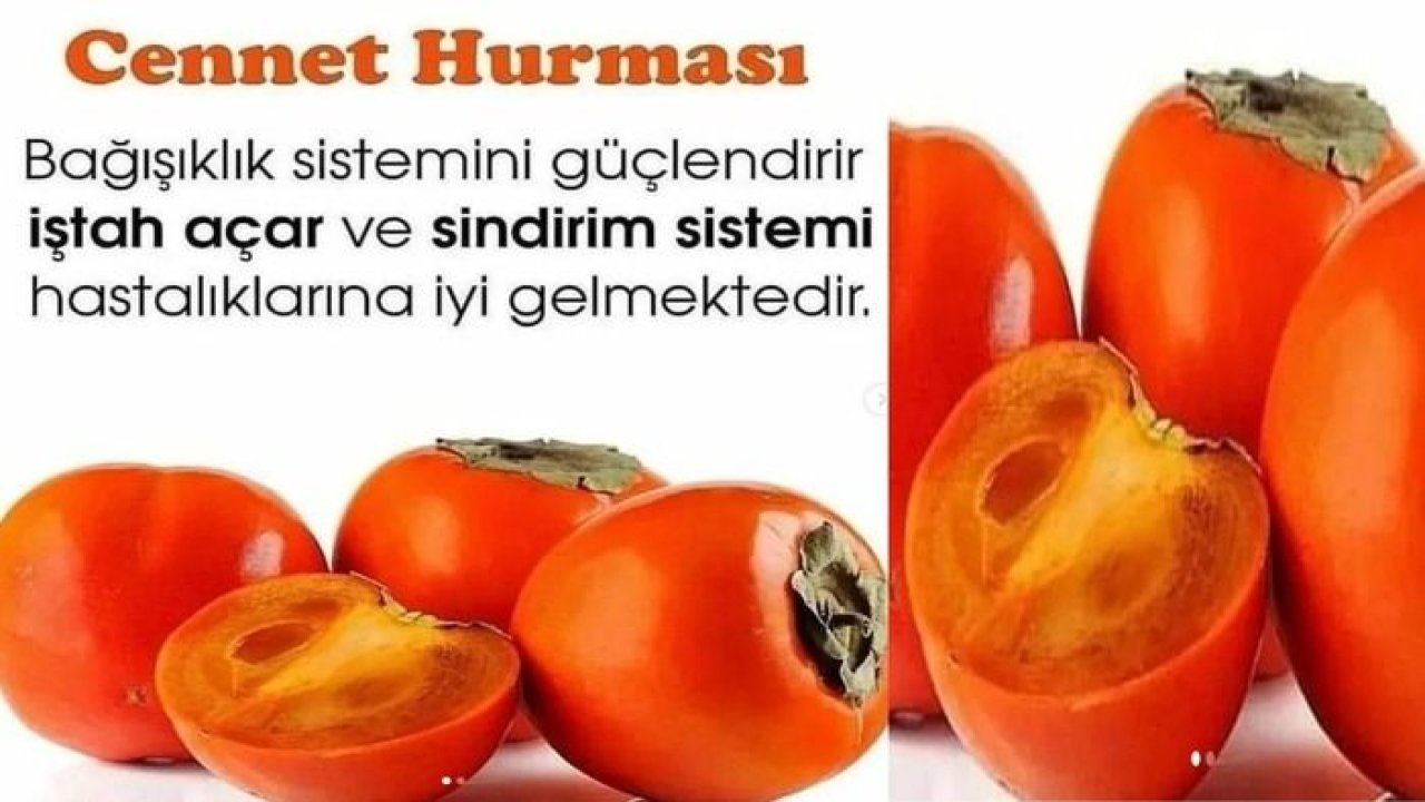 Cennet Hurmasının Faydaları Saymakla Bitmiyor! Günde Bir Tane Yiyen Ne Hastalık Kapar Ne Veba! Kimse Bilmiyor…