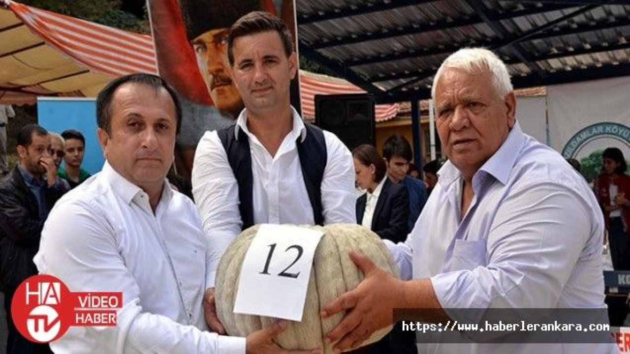 Festivalde 30 kilogramlık kabak 20 bin liraya satıldı