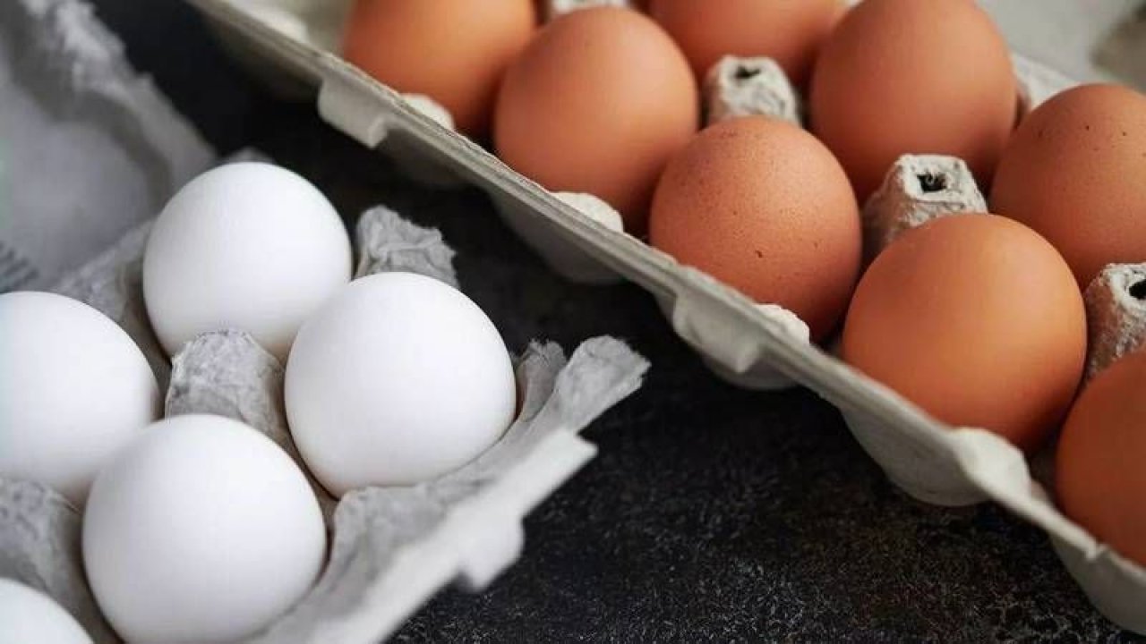 Beyaz ve Kahverengi Yumurtanın Farkını Duyan Şok Oluyor! Meğer Yumurta Bu Yüzden Renk Alıyormuş… “Yok Artık!”