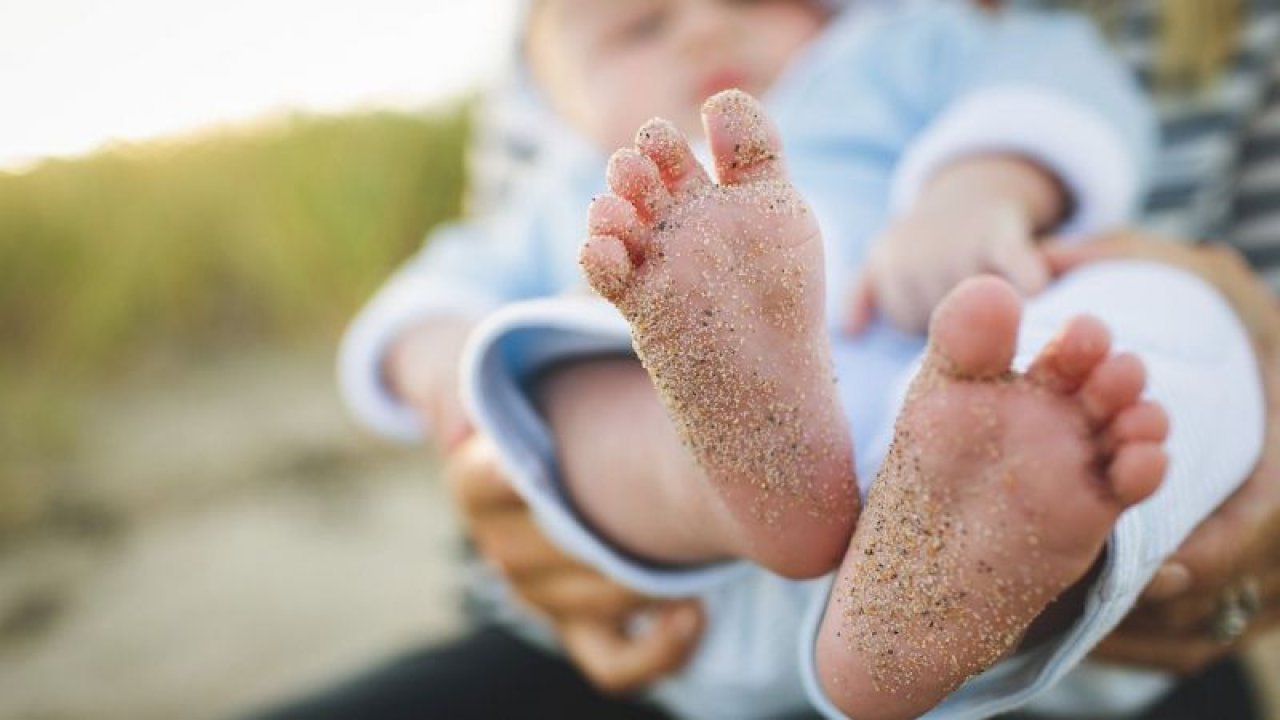 Defne İsmi Ne Demek ve Ne Anlama Gelir? Defne İsmi Kuranda Geçiyor Mu, Kaç Kişide Var, Caiz Mi?