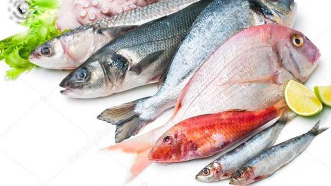 Artık Tane Tane Alacaksınız… Balıkları Kiloyla Almak Artık İmkansız Oldu! Fiyatları Gören Şok Oluyor!