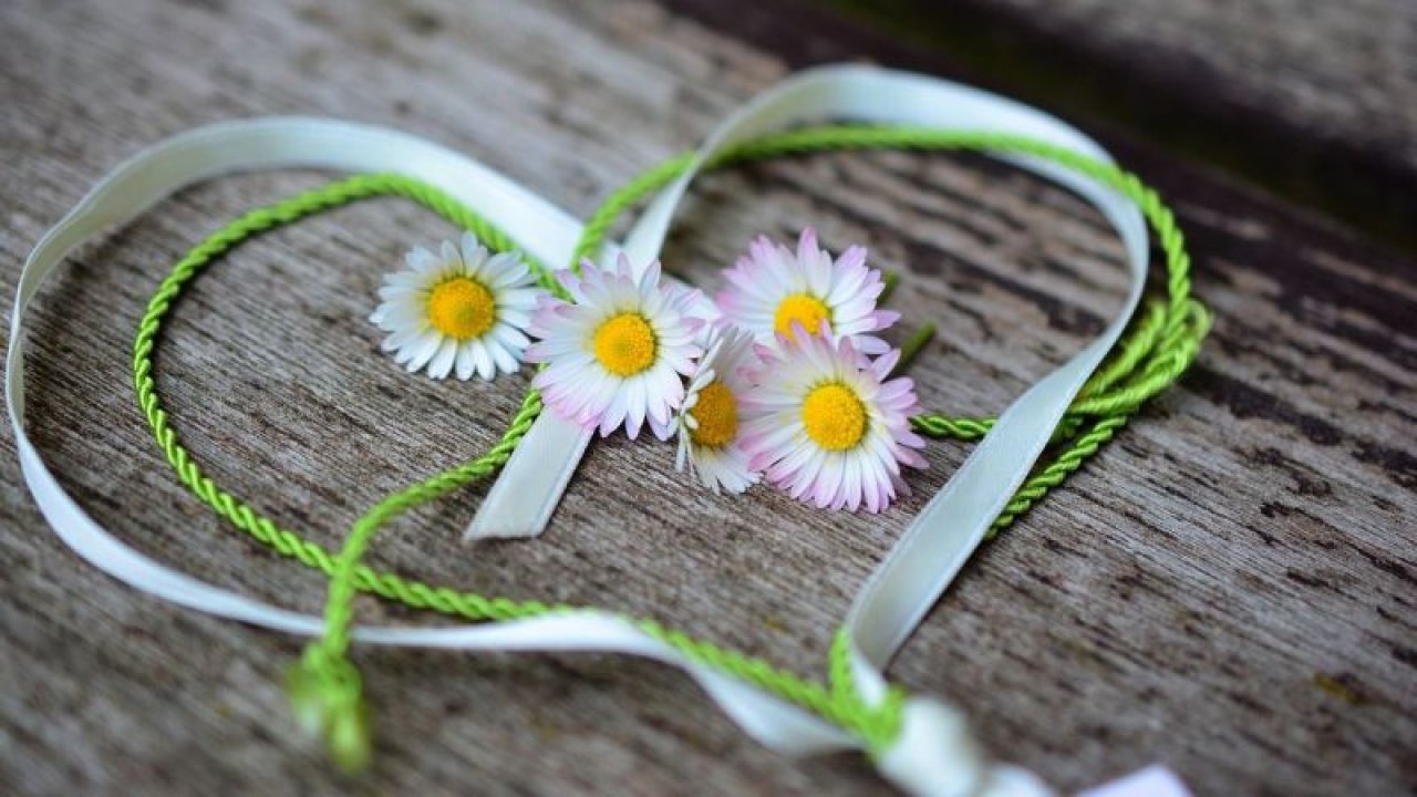 Aslan burcunun en iyi anlaştığı 3 burç belli oldu! Aşk ve dostlukları daim olur! İşte Aslan Burcunu en iyi anlayan o burçlar…