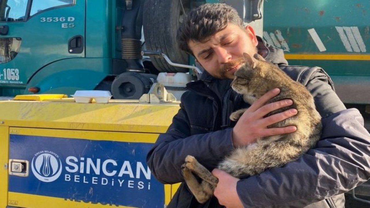 Ankara Haber: Sincan Belediyesi Deprem Bölgesindeki Can Dostları Unutmadı...