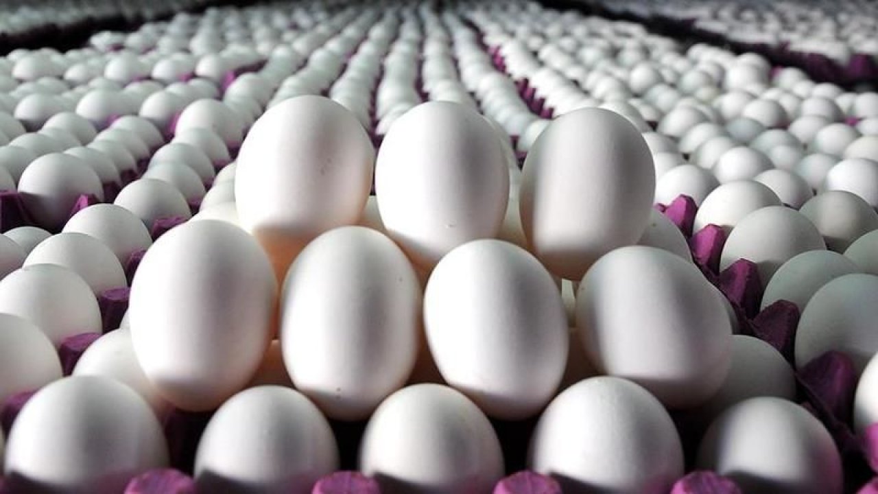 Burada 30’lu Yumurta Bile Çok Ucuz! Gören Koli Koli Alıyor; Sınırlı Stokla Satışta!