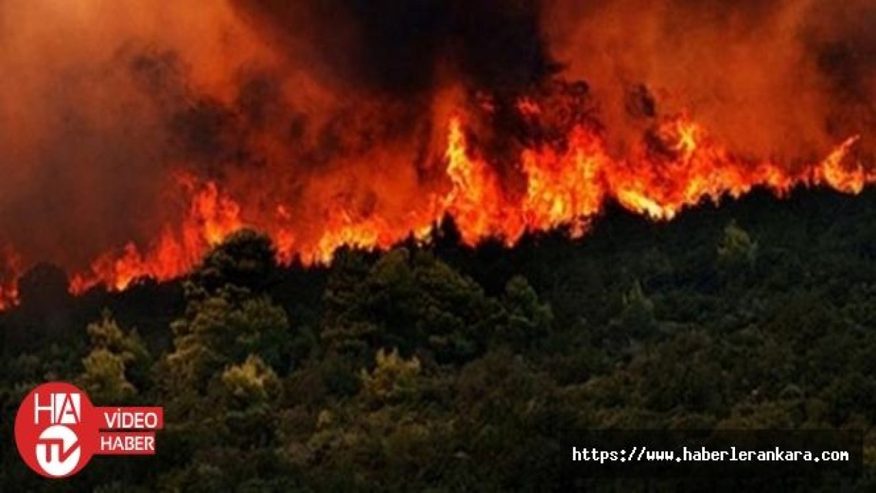 Orman yangınlarına karşı “gönüllü“ seferberliği