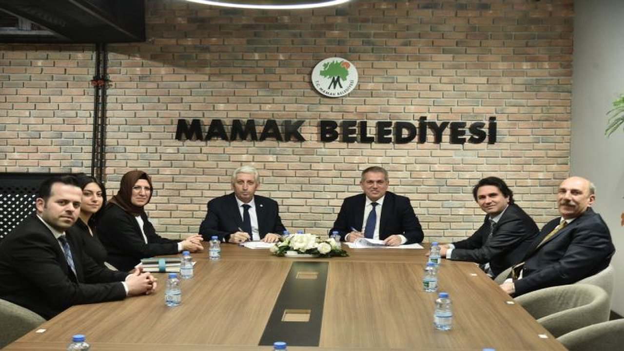 Ankara Haber: Mamak'ta Sokak Hayvanları İçin Yeni Protokol...