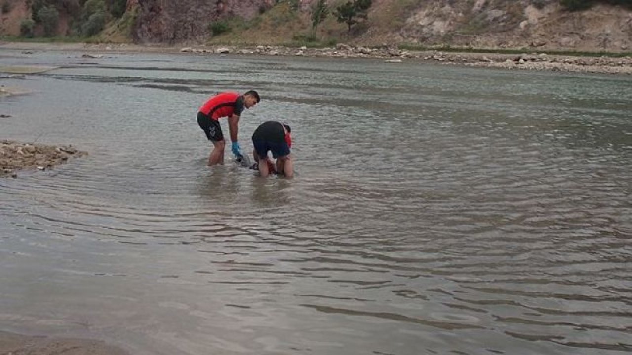 Türkiye Boğulma Haberleri - Güncel Son Dakika Haberler