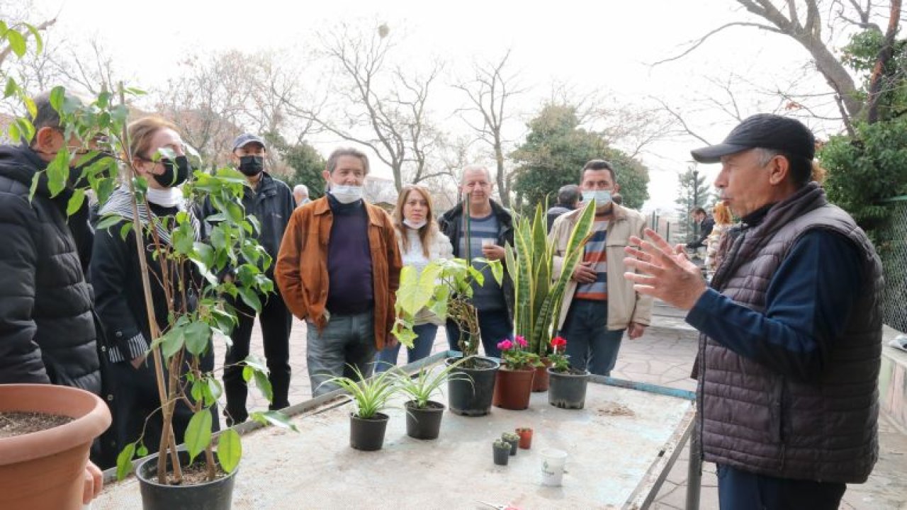 Ankara Haber: Çankaya Belediyesi Bahçıvanlık Eğitimleri İçin Başvurular Başlıyor...