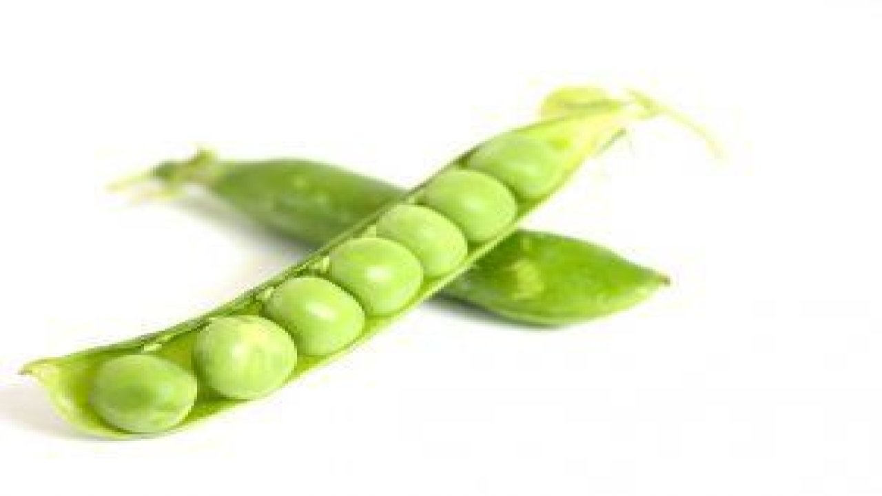 Anagain nedir? Anagain serum ve şampuan ne işe yarar?