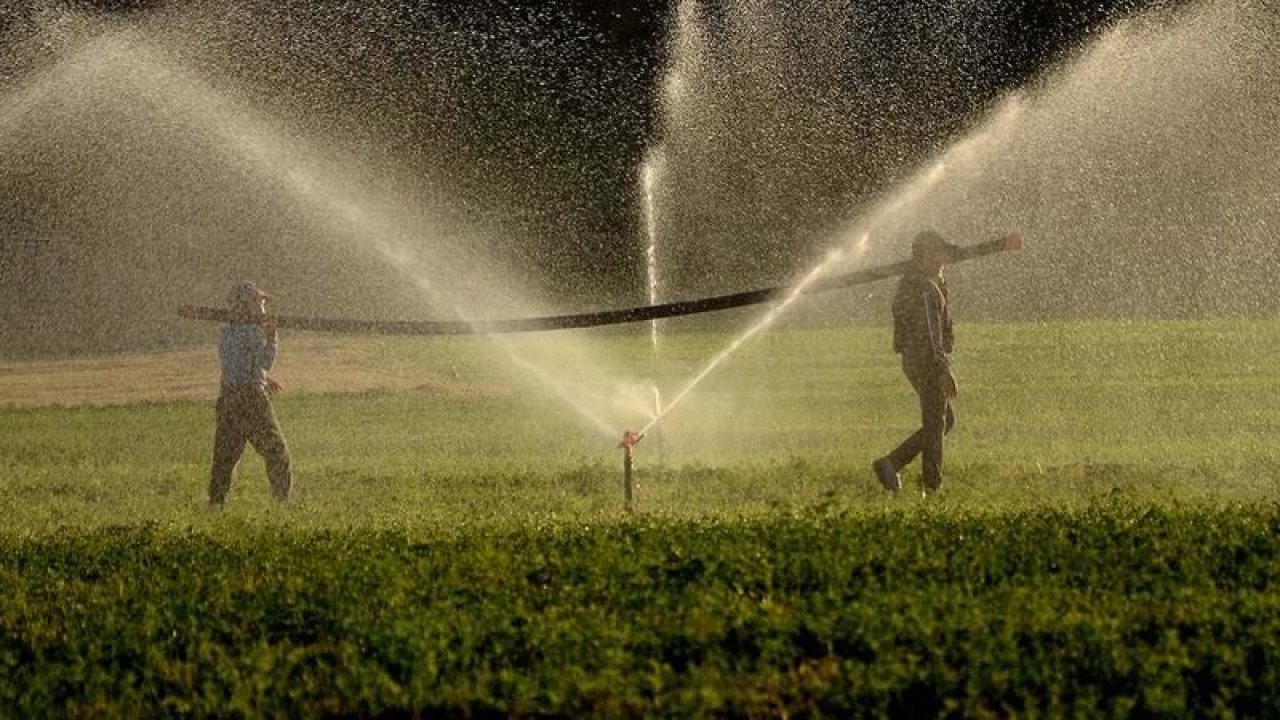 Toprakla uğraşan herkes yararlanabiliyor: Çiftçilerin su kullanım hizmet bedellerinin yüzde 50’sini devlet ödeyecek! Kararname Resmi Gazete’de yayımlandı!