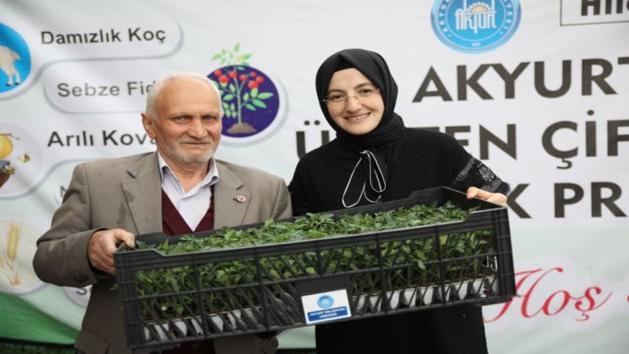 Ankara Haber: Akyurt'ta 2 Bin 100 Kişiye Sebze Fidesi