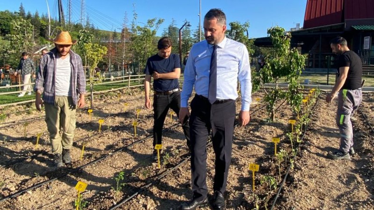 Ankara Haber: Pursaklar’da Ata Tohumları Ata Bahçesinde Toprakla Buluştu