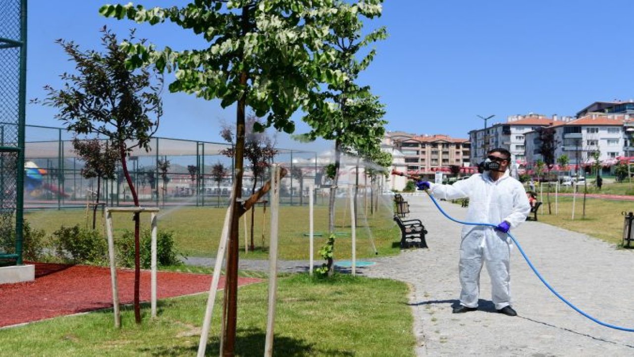 Mamak'ta Biyolojik Mücadele! “Doğal Dengeyi Koruyoruz”