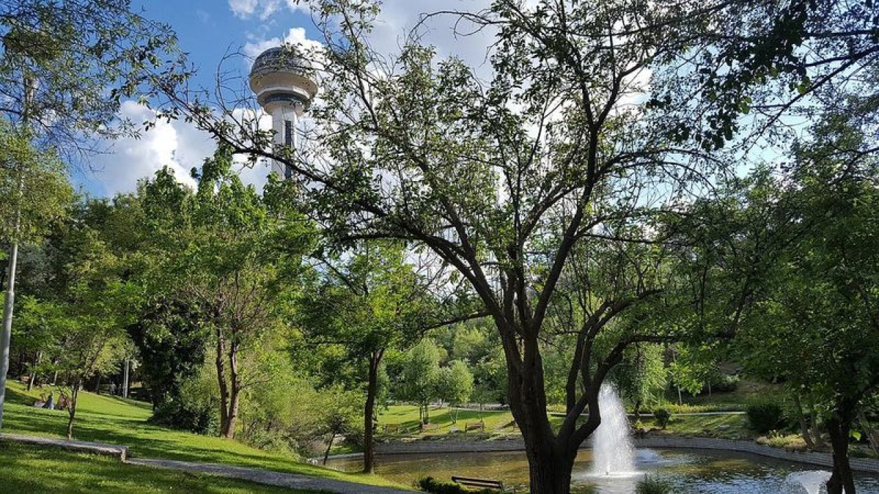 Ankara’nın Bu Parkı 1970 Yılından Beri Güzelliğini Koruyor! Su ve Kuş Sesleriyle Ruhunuzu Dinlendirecek… İşte Ankara Botanik Parkı’nda Yapılacak Aktivite Listesi