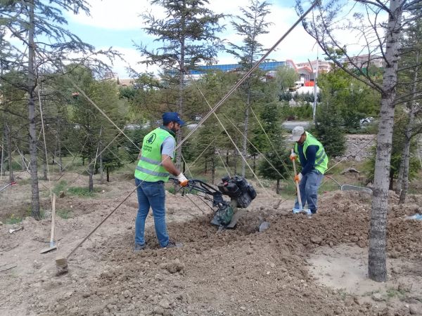 Ankara'da Pursaklar Yeşile Bürünüyor