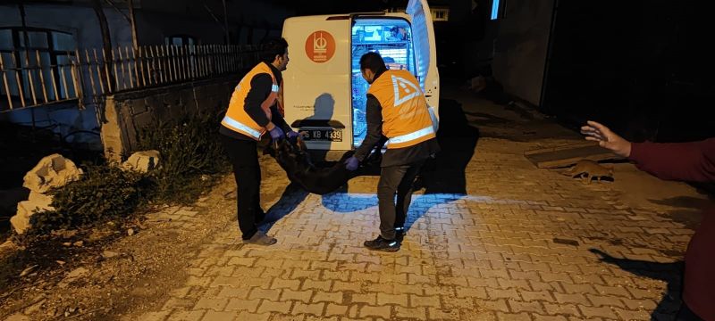 Ankara Haber: Keçiören Belediyesi Binlerce Afetzede Canlıyı Tedavi Etti...
