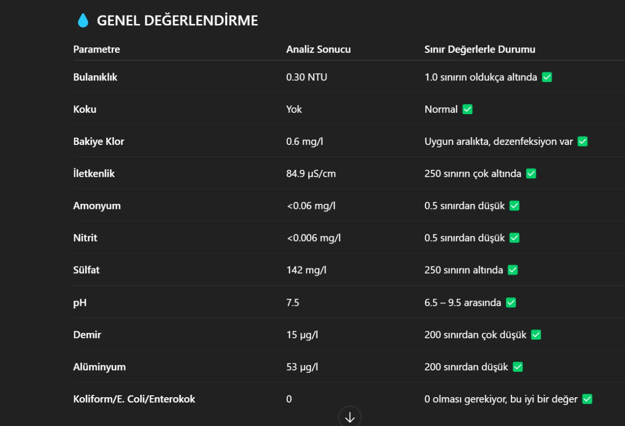 analiz-sonuclari.png